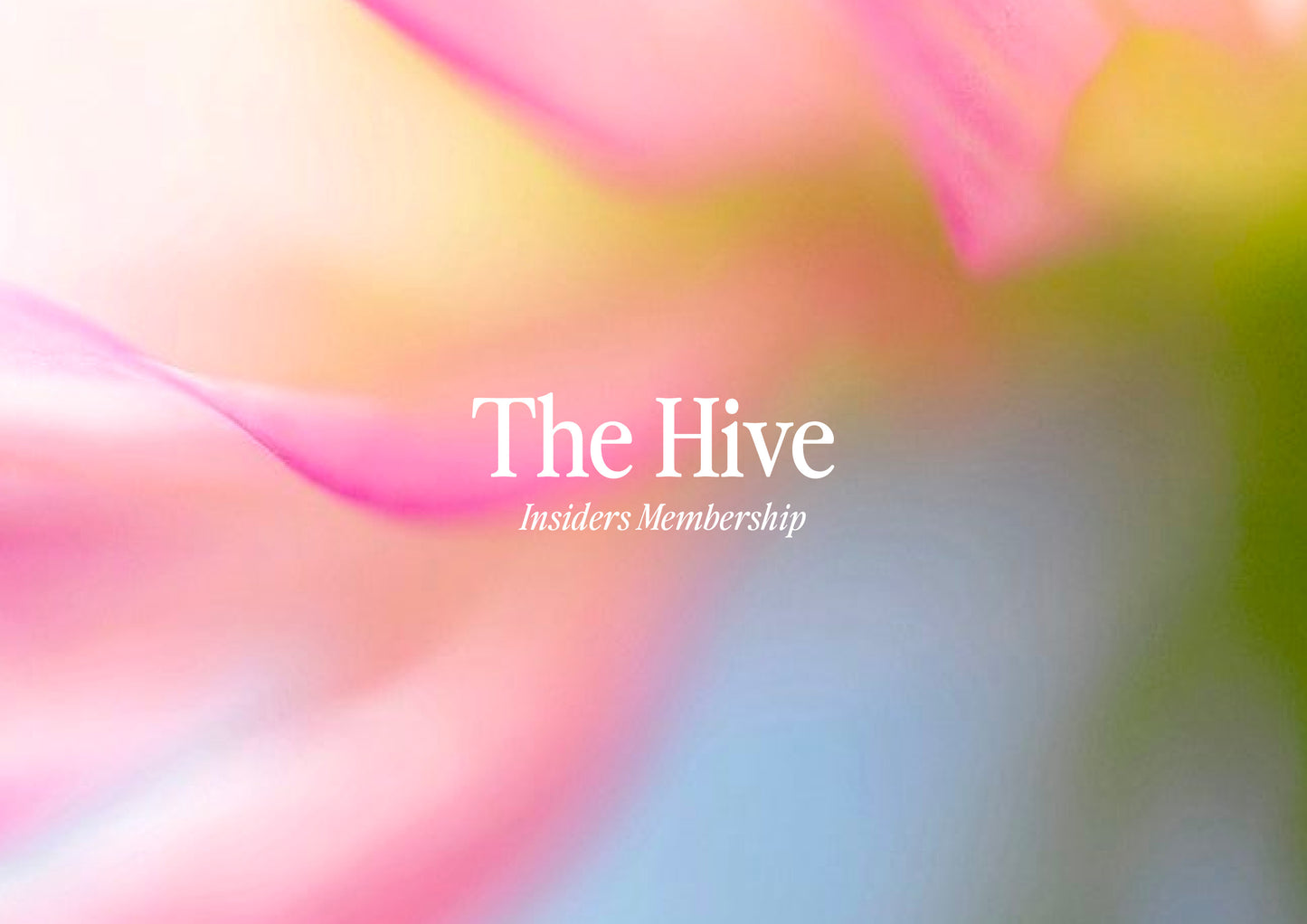 The Hive | Insiders Membership