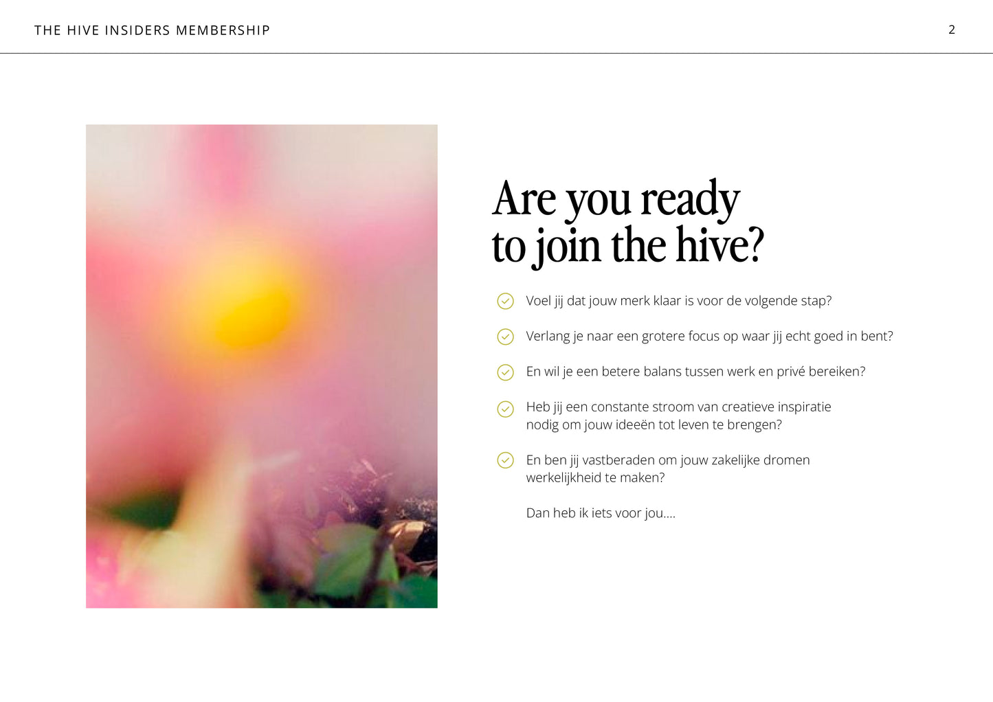 The Hive | Insiders Membership