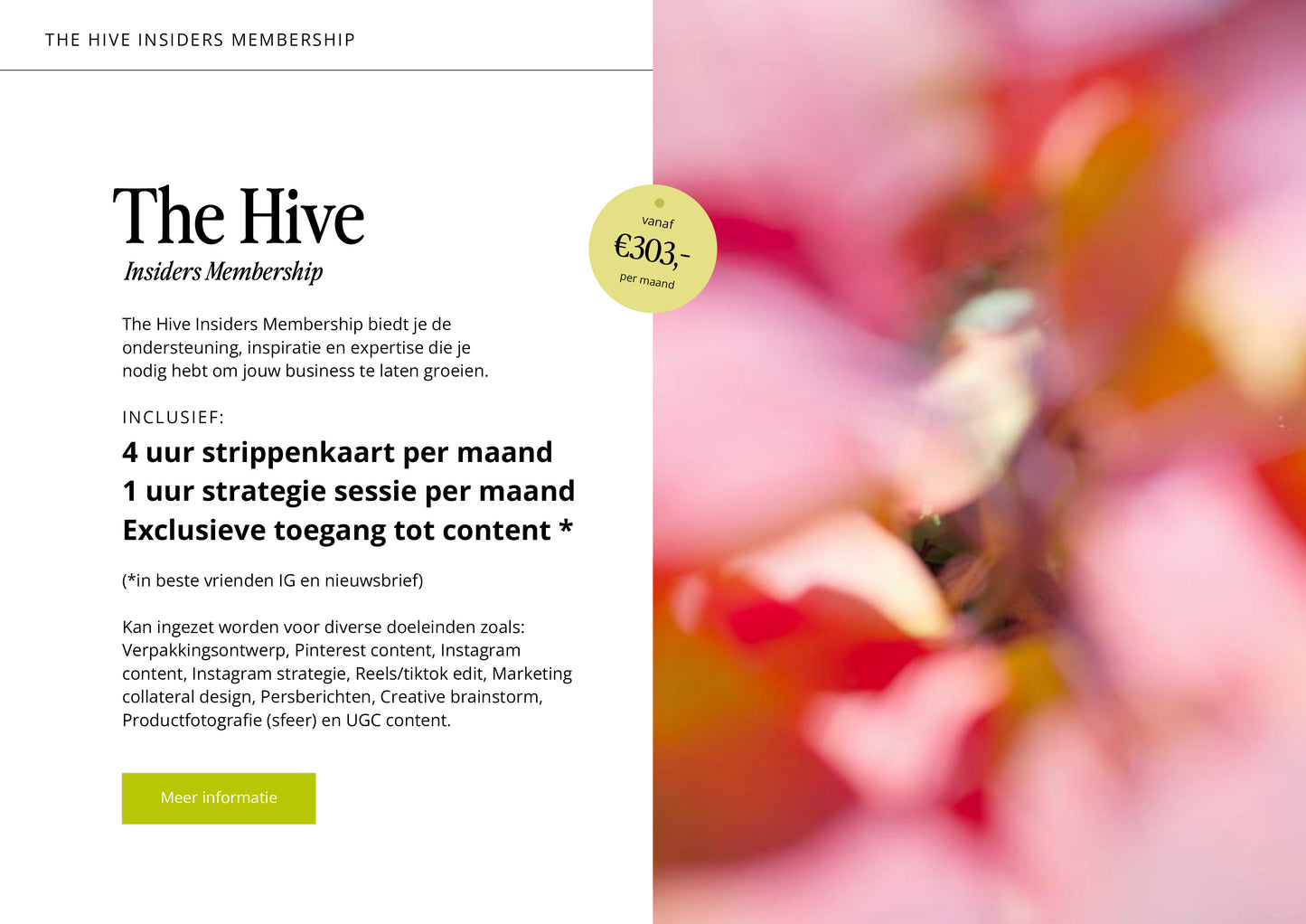 The Hive | Insiders Membership