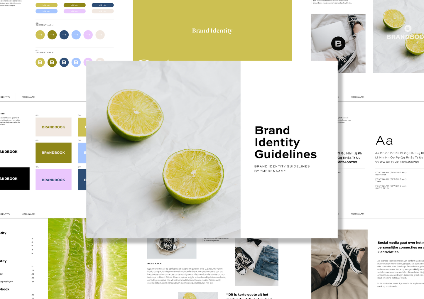 Brand Identity Guidelines | Design template