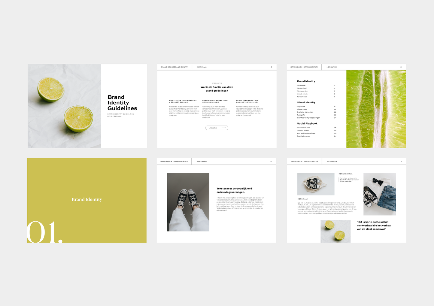 Brand Identity Guidelines | Design template